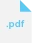 PDF Icon